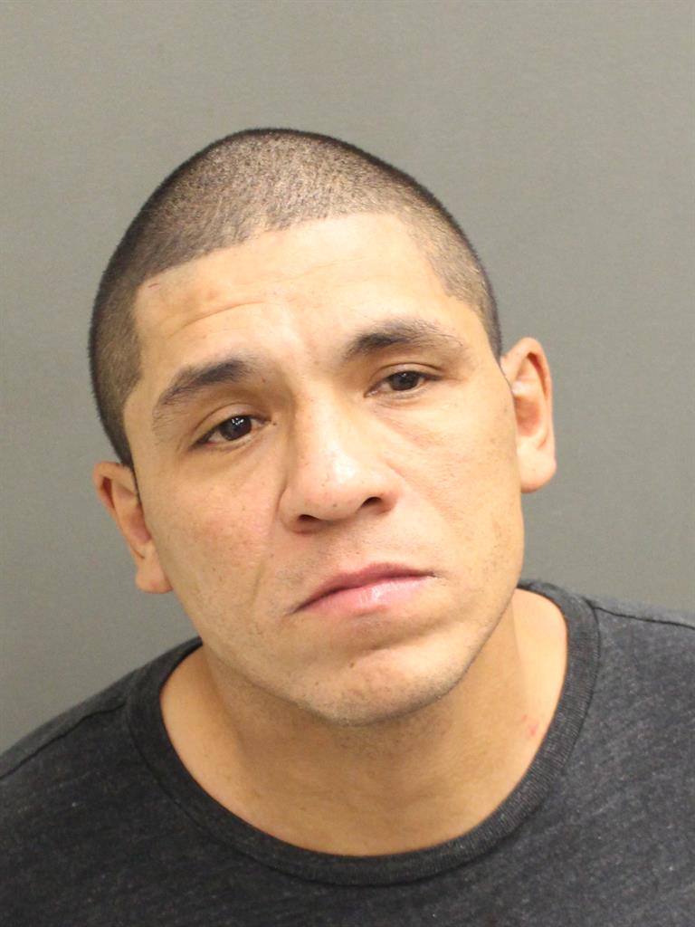  GREGORY CARLOS PALACIOS Mugshot / County Arrests / Orange County Arrests