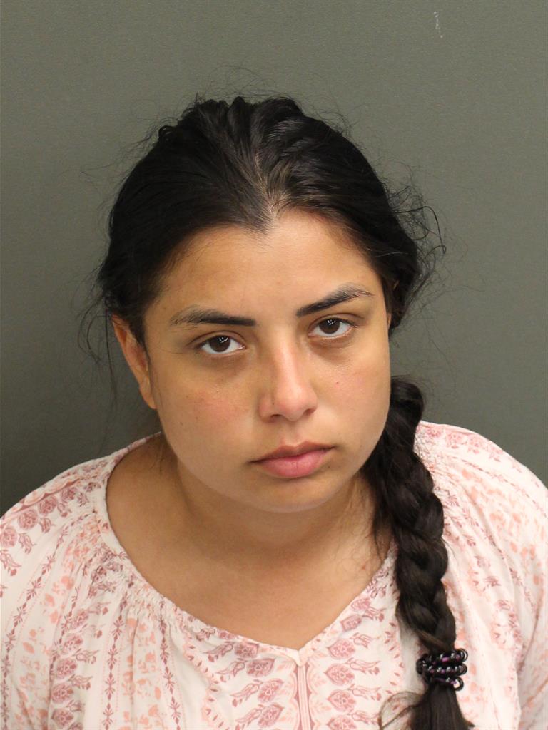  GEORGIANA LARISA CONSTANTIN Mugshot / County Arrests / Orange County Arrests