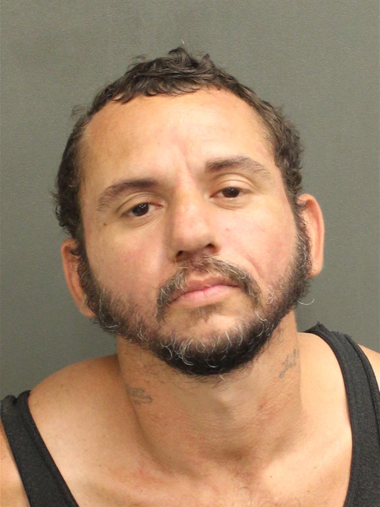SEAN SCOTT STRACHAN Mugshot SEAN SCOTT STRACHAN Mugshot / County Arrests / Orange County Arrests