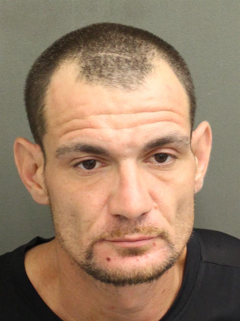  DOMINIC JOSEPH TETI Mugshot / County Arrests / Orange County Arrests