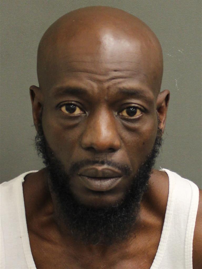  LENTZ EDWIDGE BORDES Mugshot / County Arrests / Orange County Arrests