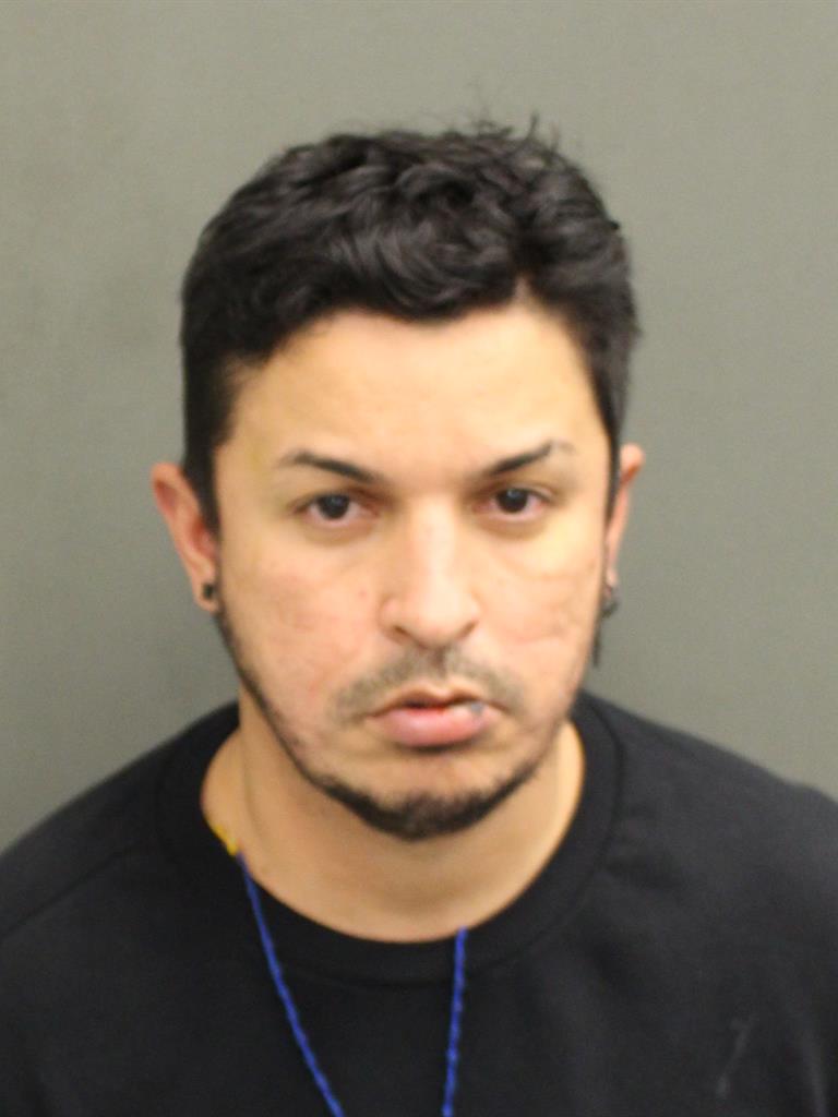  RAPHAEL D USECHE Mugshot / County Arrests / Orange County Arrests