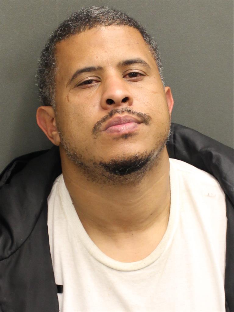  ANDIE LANG Photo Image