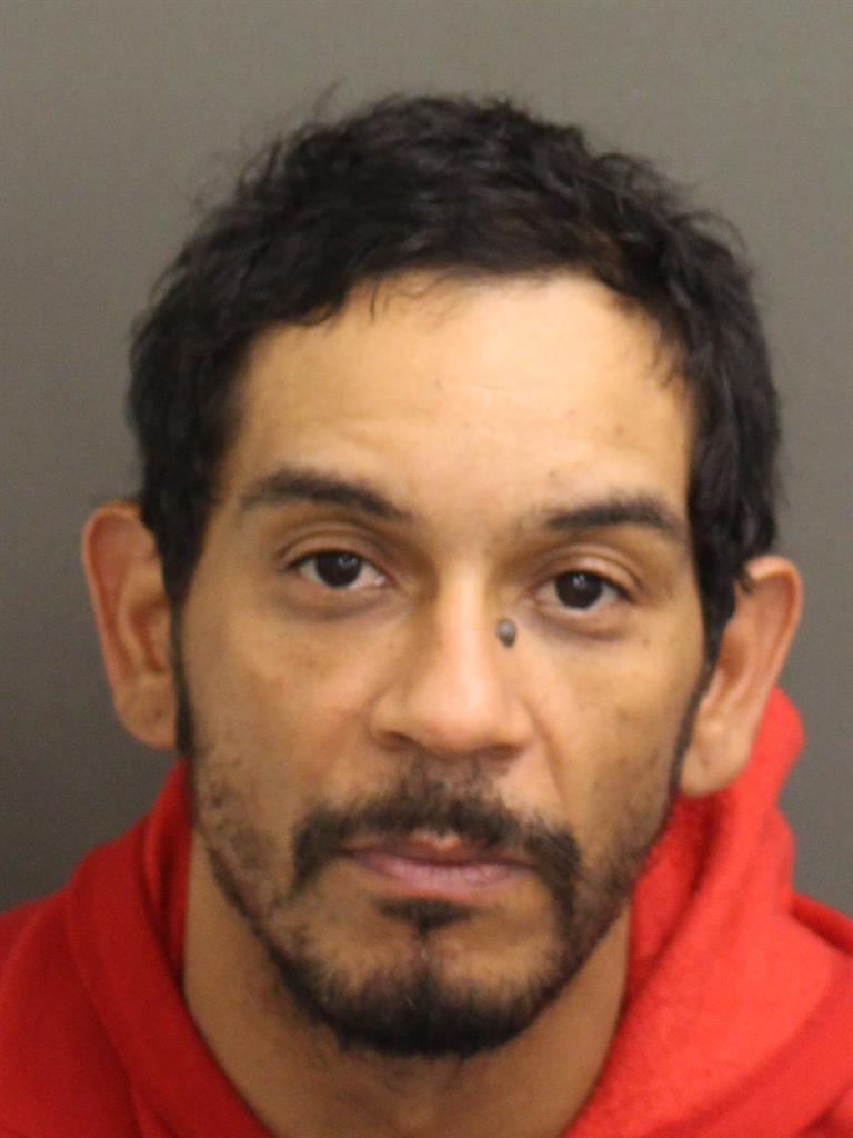  JOSE RAFAEL BAEZCAPELES Mugshot / County Arrests / Orange County Arrests