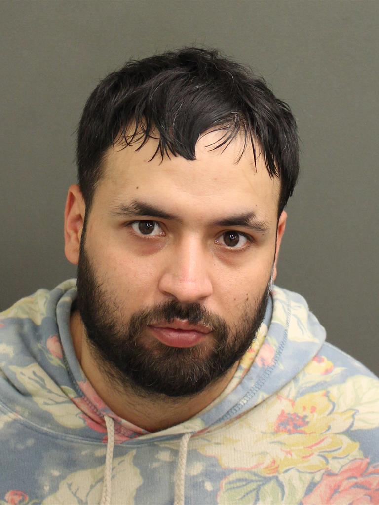  LUIS JOEL ACEVEDO Mugshot / County Arrests / Orange County Arrests