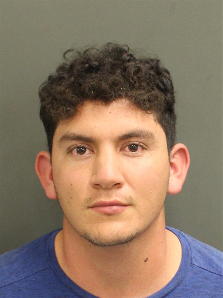  RUBEN ALBERTO PELLEGAUDGARCIA Mugshot / County Arrests / Orange County Arrests