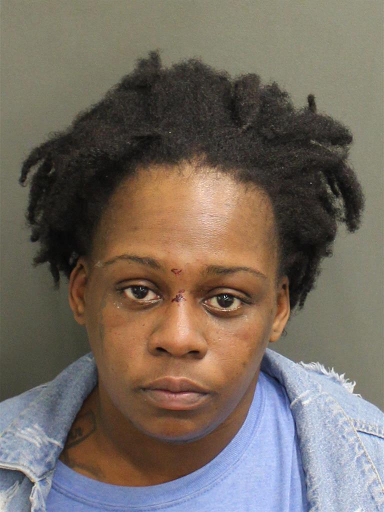  JANELLE ALICE JOHNSON Mugshot / County Arrests / Orange County Arrests