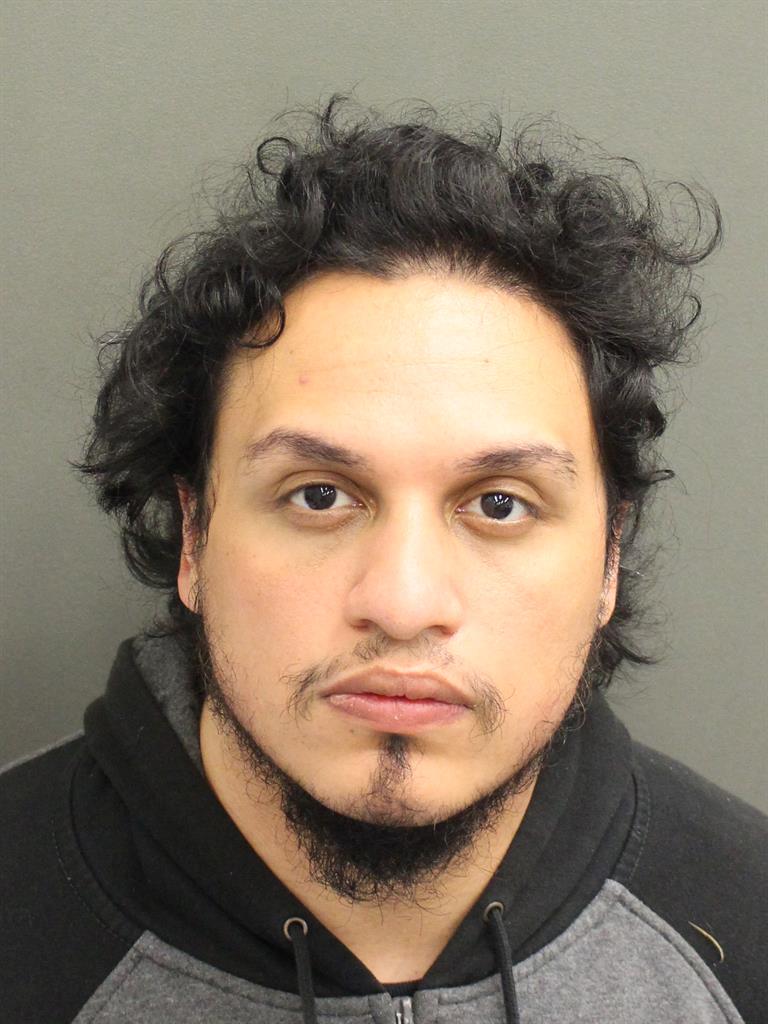  ALEX GALLEGO ALBORES Mugshot / County Arrests / Orange County Arrests