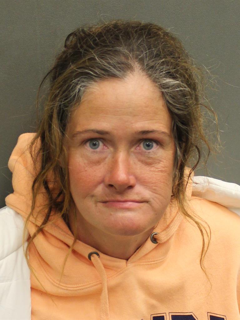  LISA ANN LEWIS Mugshot / County Arrests / Orange County Arrests