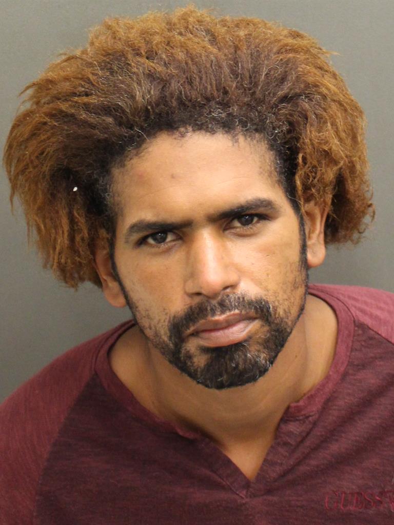  FERNANDO LUIS SANCHEZ Mugshot / County Arrests / Orange County Arrests