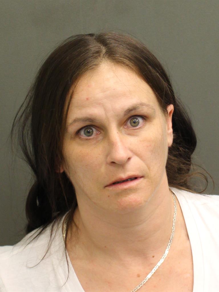  AMY ELIZABETH HOWARD Mugshot / County Arrests / Orange County Arrests