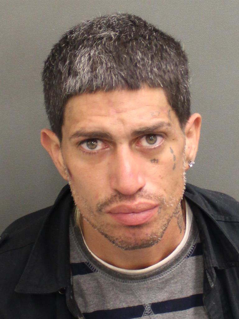  ROBERT RAMOSBRUNO Mugshot / County Arrests / Orange County Arrests