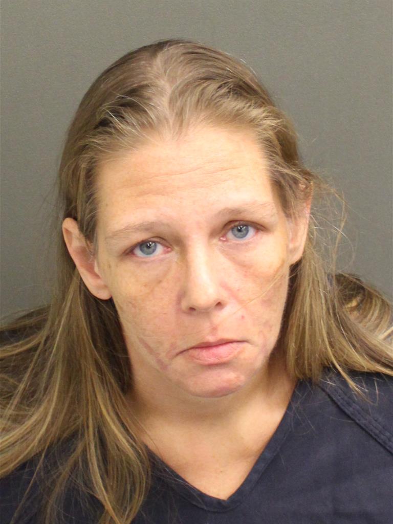  BRANDY POWER Mugshot / County Arrests / Orange County Arrests