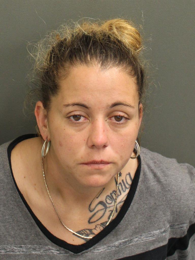  KRISTY LYNN CAPPS Mugshot / County Arrests / Orange County Arrests