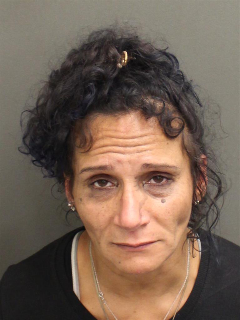  BRENDA LUZ SANTIAGODEJESUS Mugshot / County Arrests / Orange County Arrests