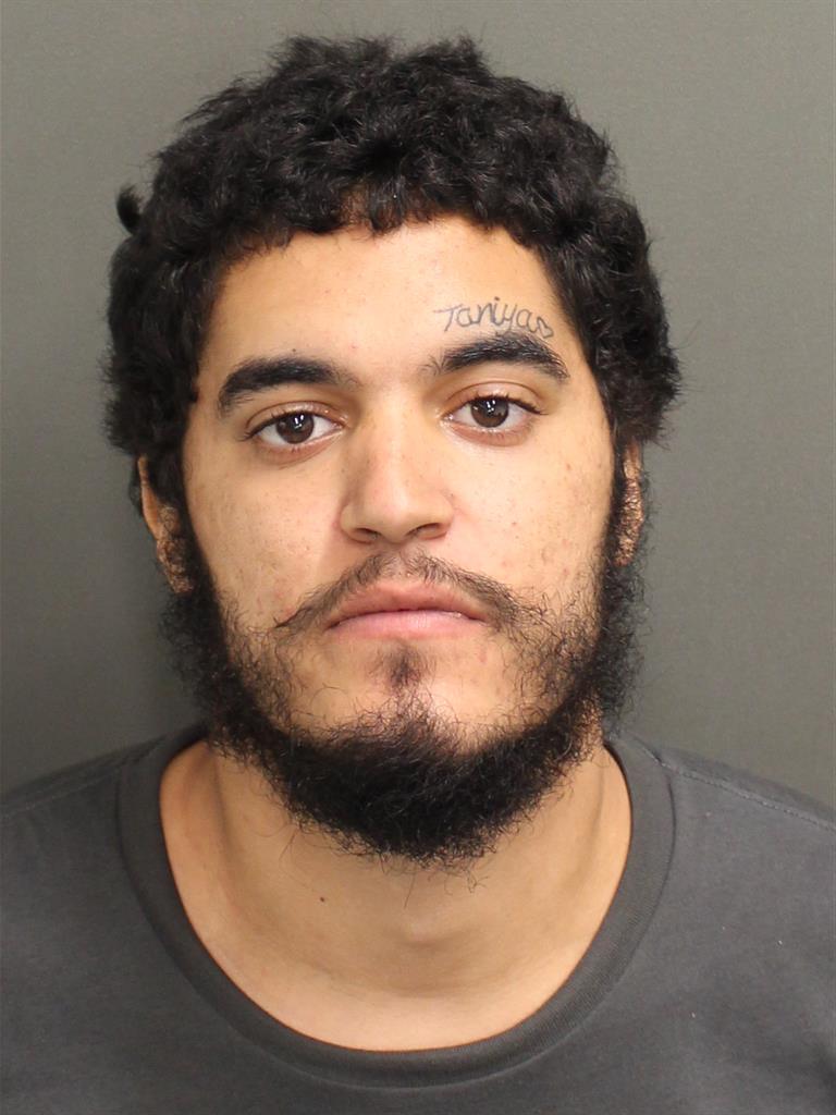  ANGELO J GRULLON Photo Image