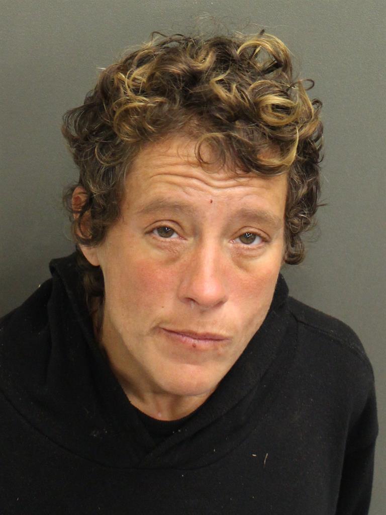  ANDREA MARIE FERGUSON Mugshot / County Arrests / Orange County Arrests