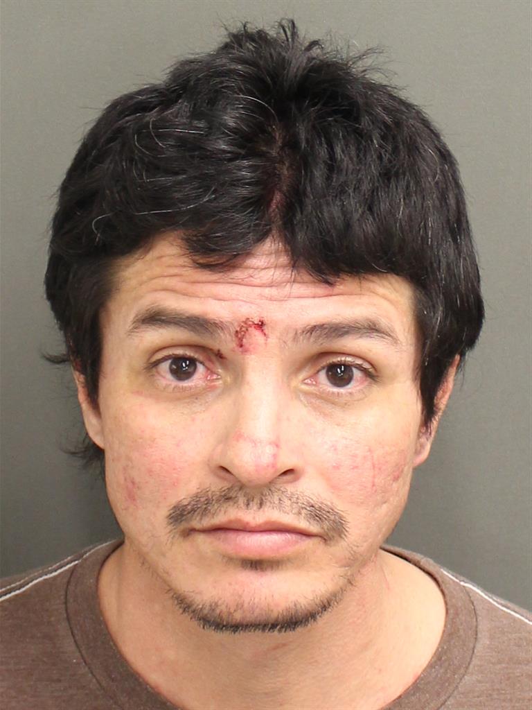  ROJELIO LEON Mugshot / County Arrests / Orange County Arrests