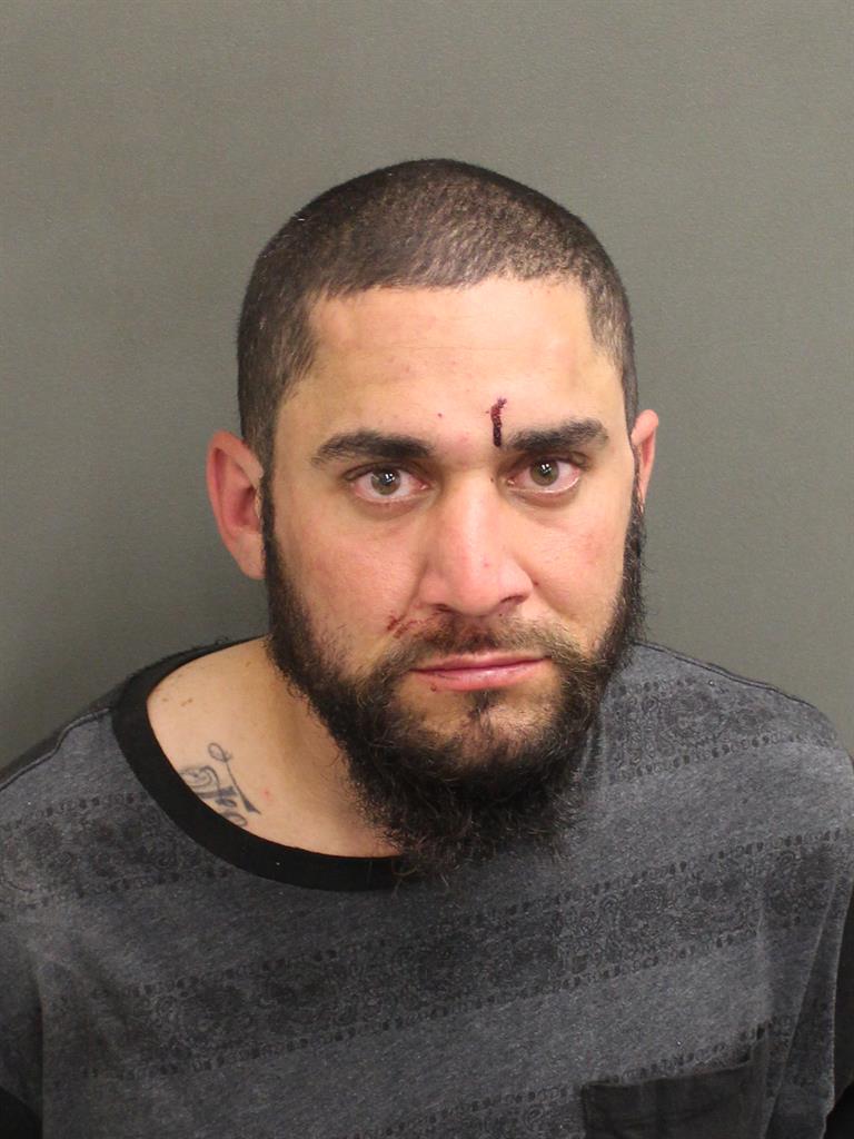  CHRISTOPHER GEORGE MALAVE Mugshot / County Arrests / Orange County Arrests