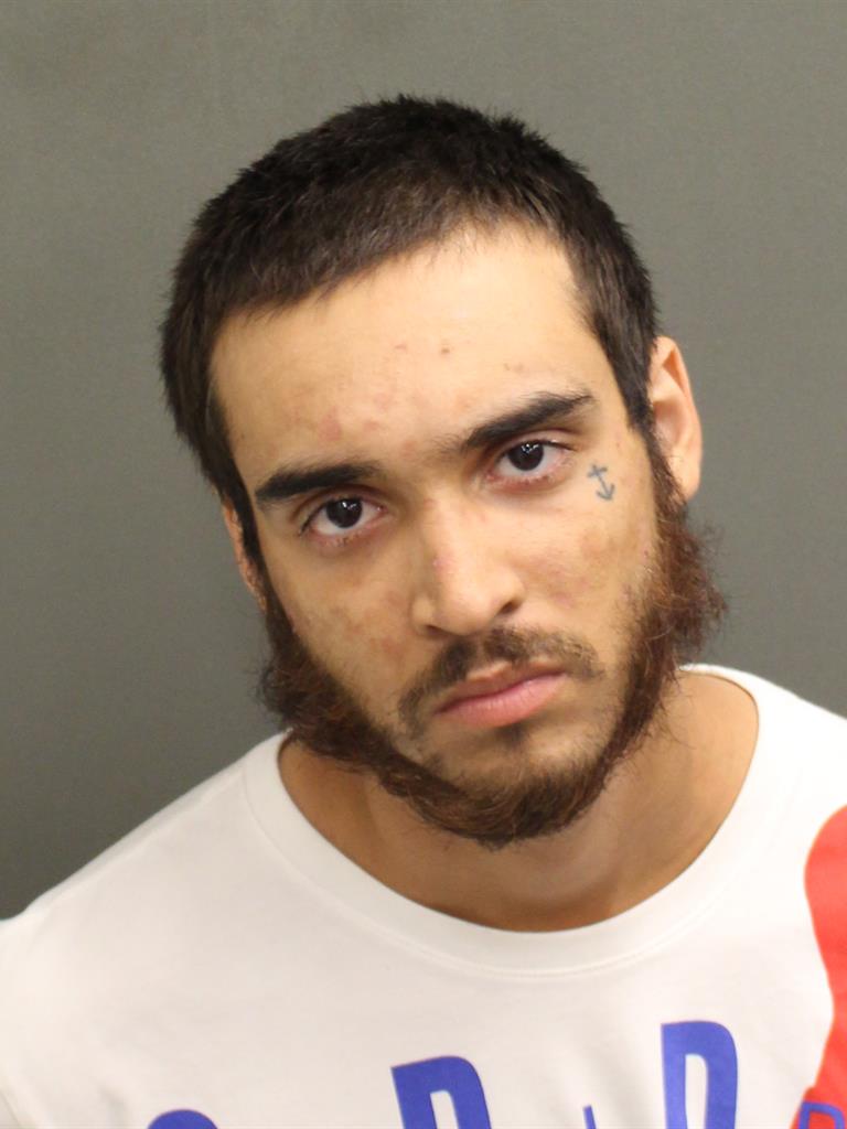  LOUSI ORTIZ Mugshot / County Arrests / Orange County Arrests