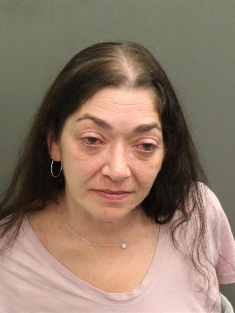  TINA MARIE LOOMIS Mugshot / County Arrests / Orange County Arrests