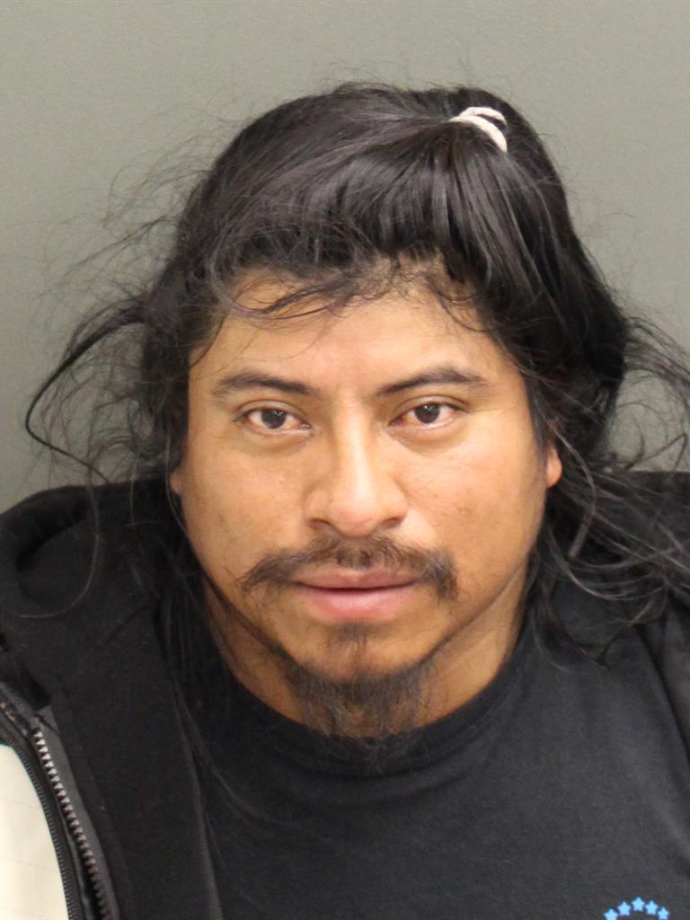  ADOLOFO JUVENTINO RUIZDOMINGO Mugshot / County Arrests / Orange County Arrests