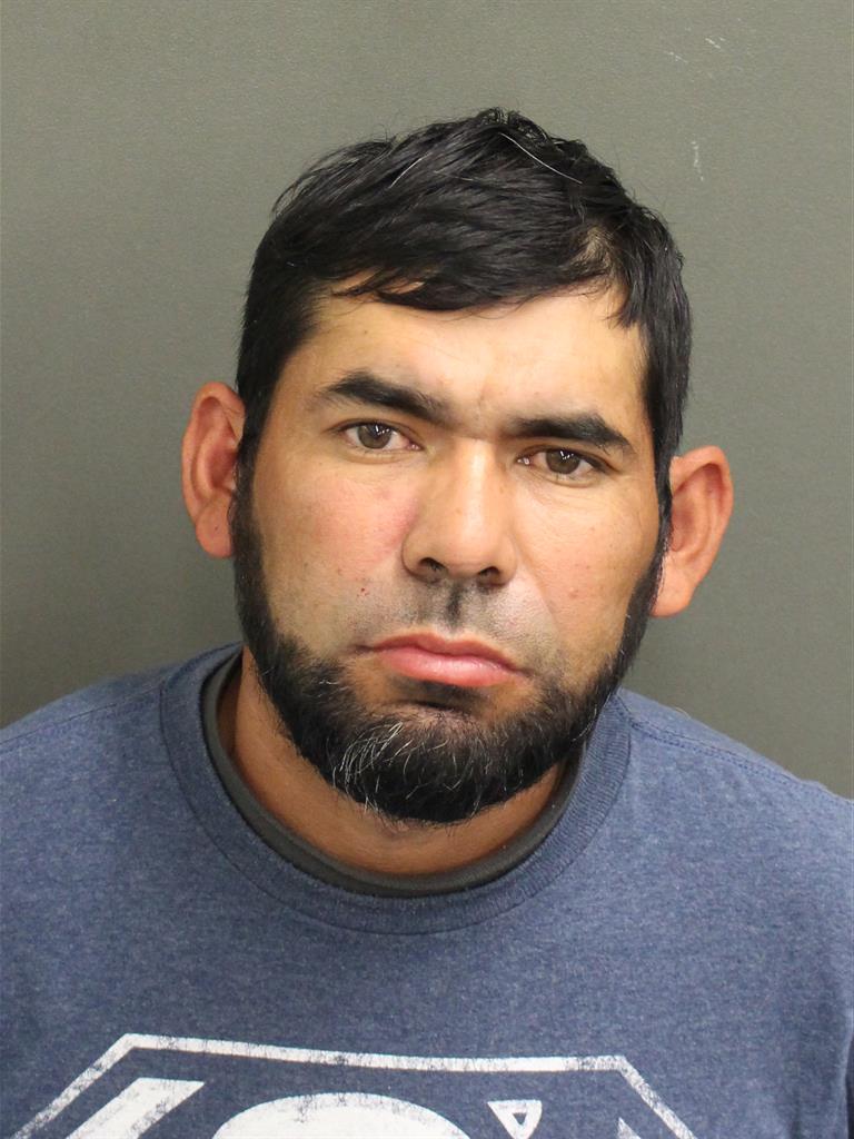  ALVARADO RONY Mugshot / County Arrests / Orange County Arrests