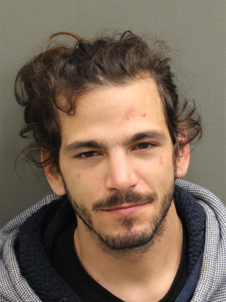  PETER DASILVA Mugshot / County Arrests / Orange County Arrests
