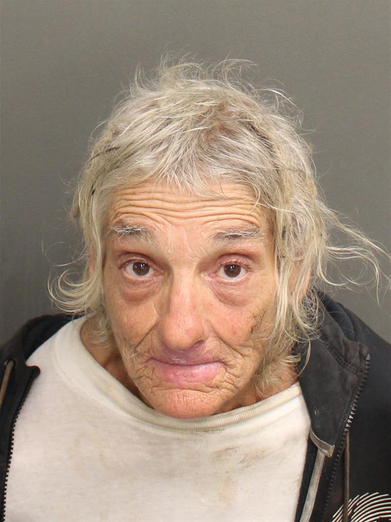  LAURA LEE MALLIA Mugshot / County Arrests / Orange County Arrests
