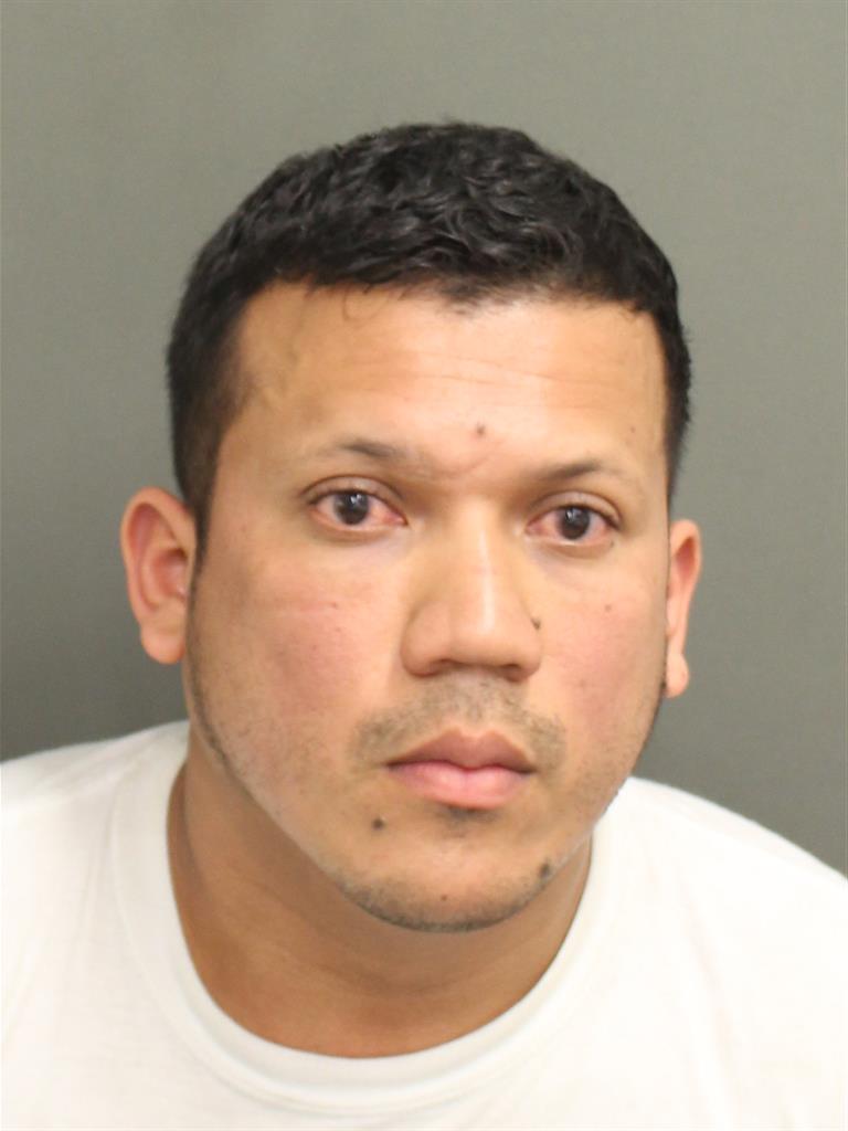  ROBERTO SOSA RAMIREZ Mugshot / County Arrests / Orange County Arrests