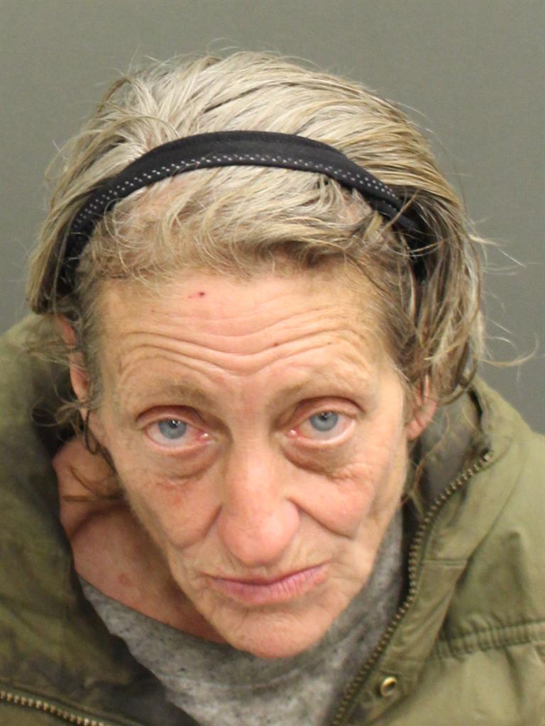  MARY JAMIESON Mugshot / County Arrests / Orange County Arrests