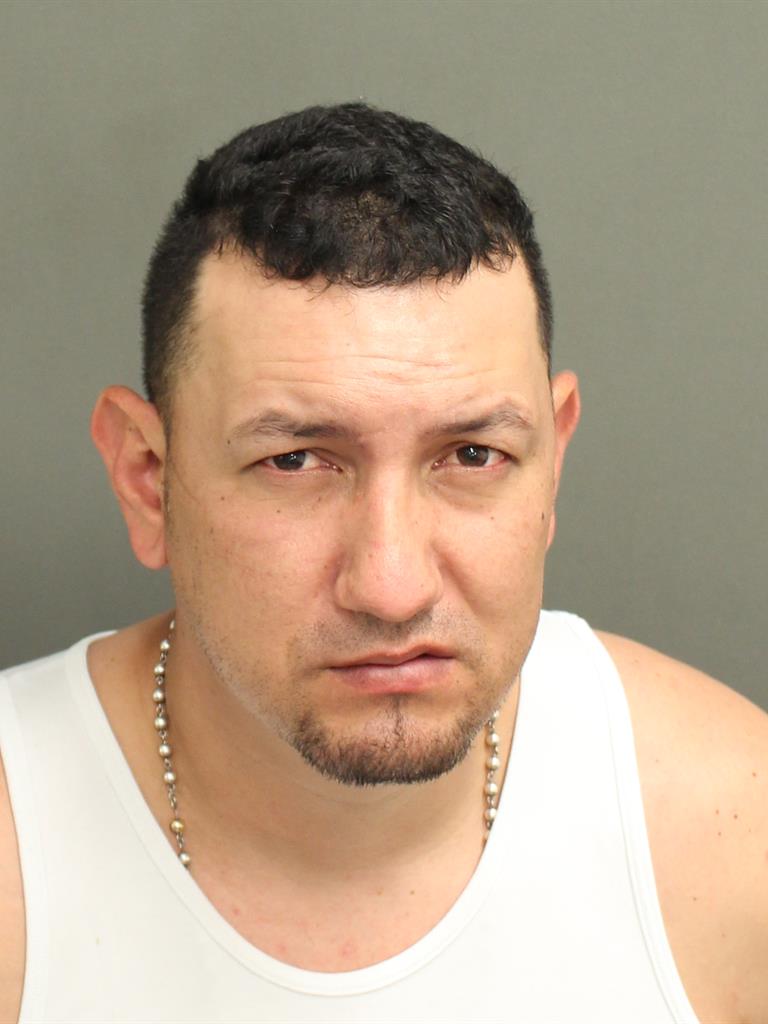  LUIS ANDRES RAMIREZCANATO Mugshot / County Arrests / Orange County Arrests