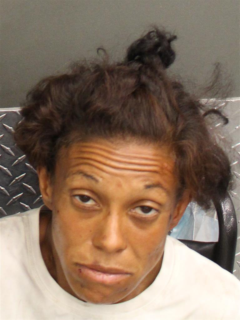  JANICE MARIE NEGRON Mugshot / County Arrests / Orange County Arrests
