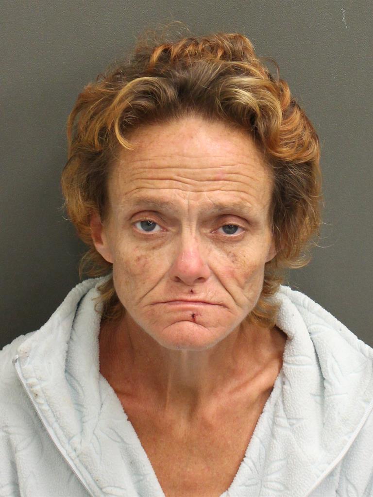  TERESA LOUISE BURDETTE Mugshot / County Arrests / Orange County Arrests