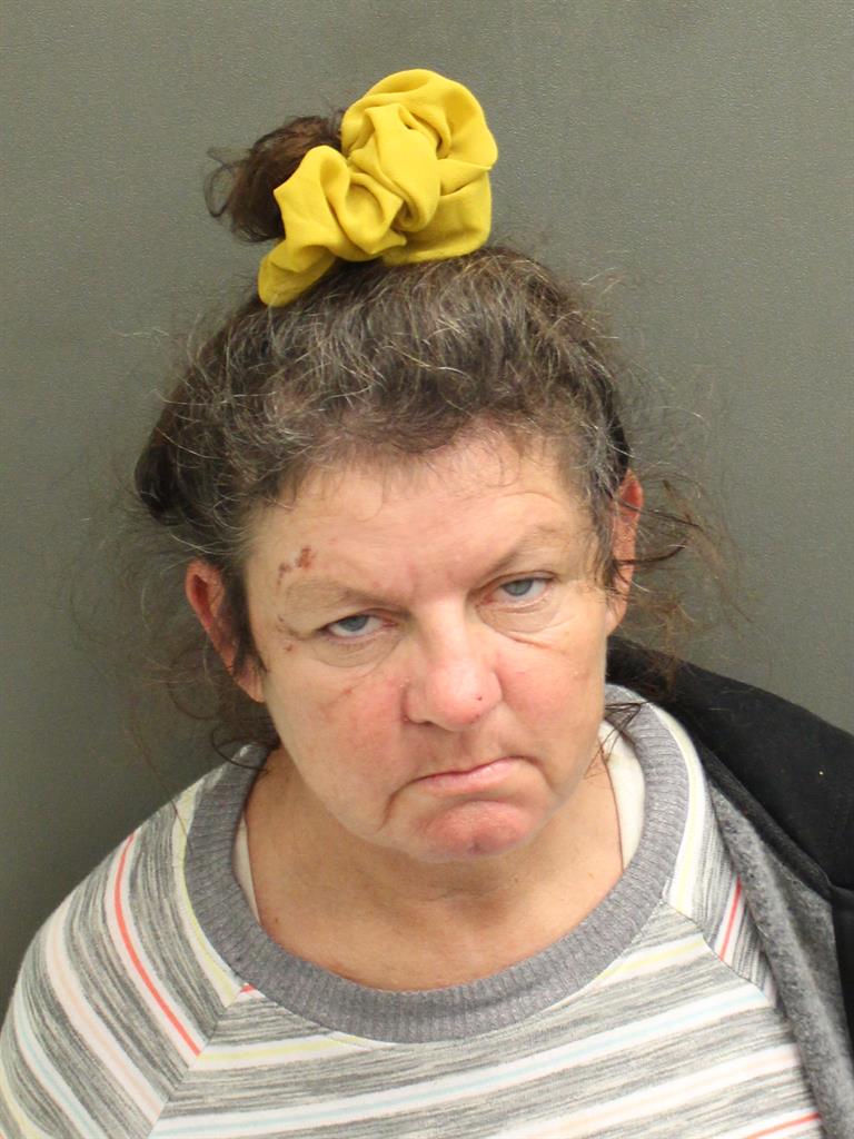  TRACY ANN BARNES Mugshot / County Arrests / Orange County Arrests