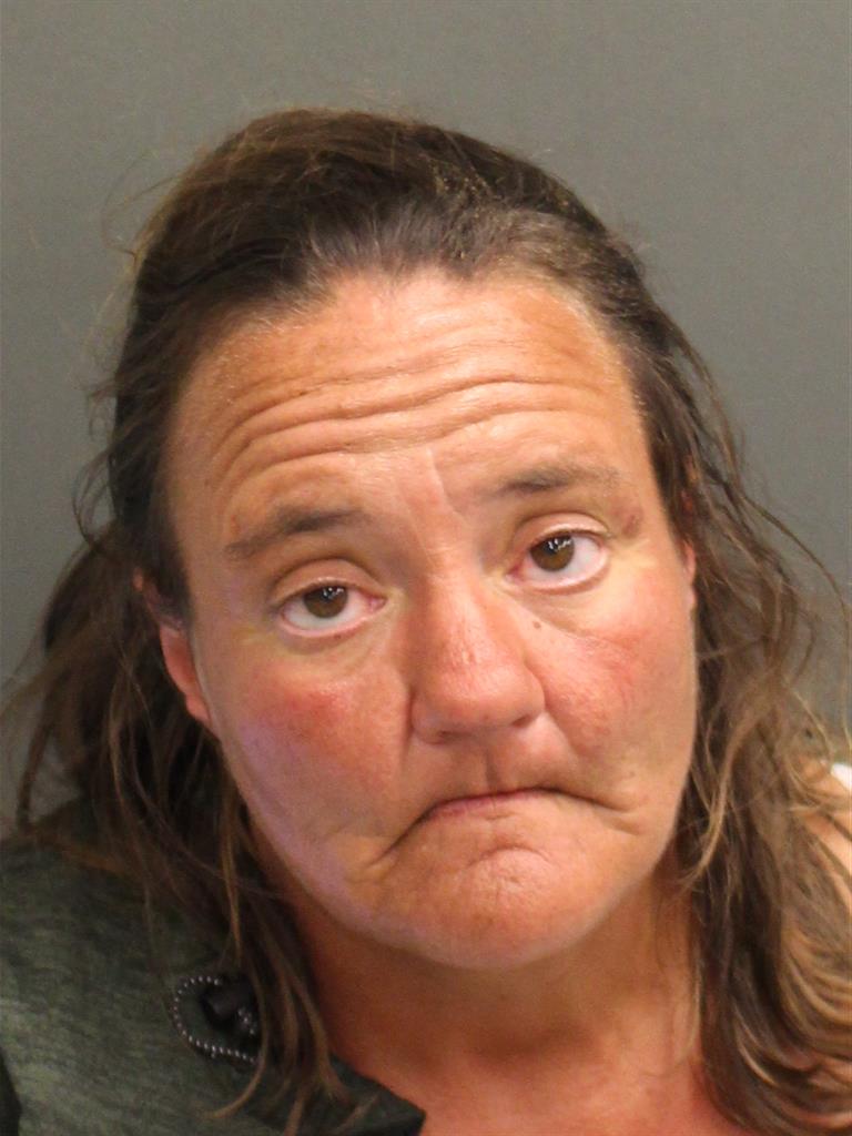  JULIE IRENE FELBER Mugshot / County Arrests / Orange County Arrests