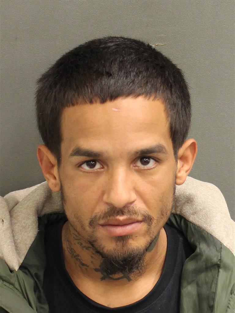  WILLIAM DOMINGUEZ Mugshot / County Arrests / Orange County Arrests