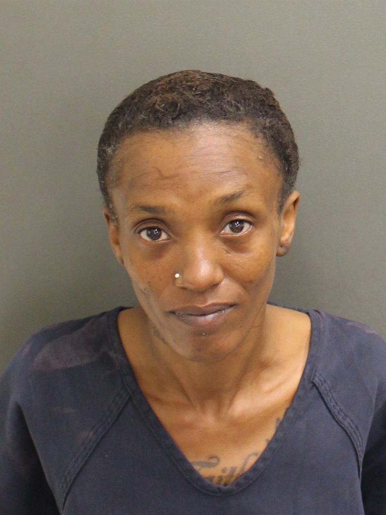  NATISHA LASHAY CLARK Mugshot / County Arrests / Orange County Arrests