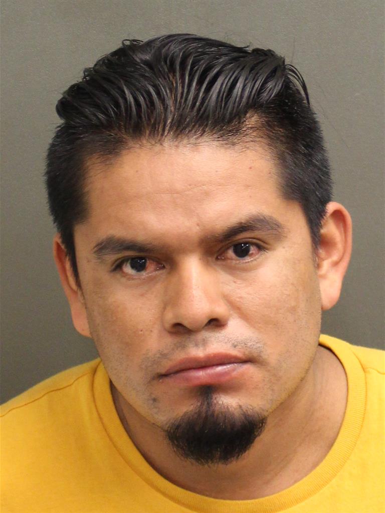  TOMAS MATIASSON Photo Image