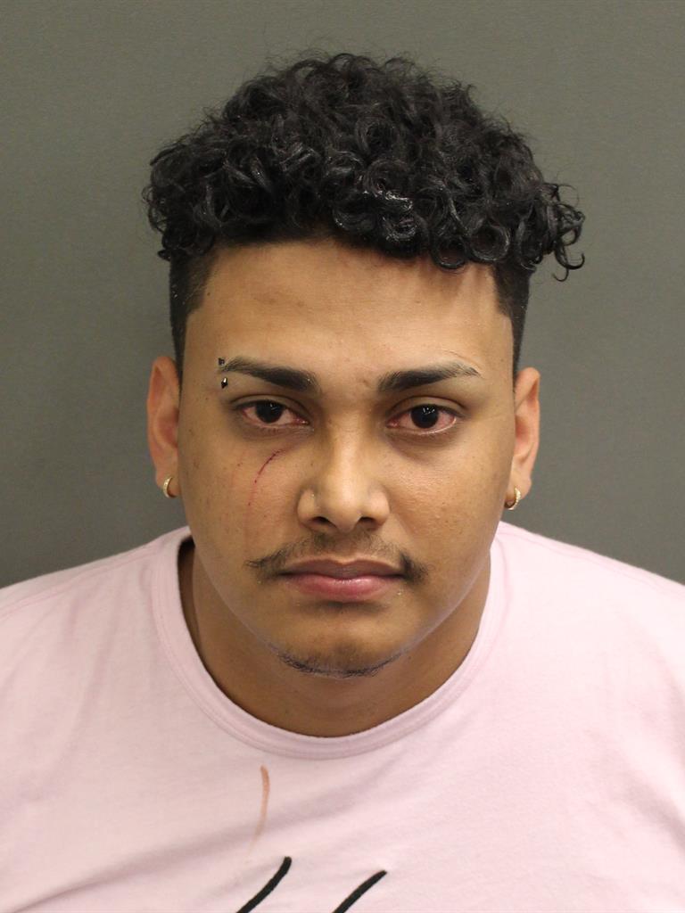  WILLIAM EDUARDO ROMEROROSALES Mugshot / County Arrests / Orange County Arrests