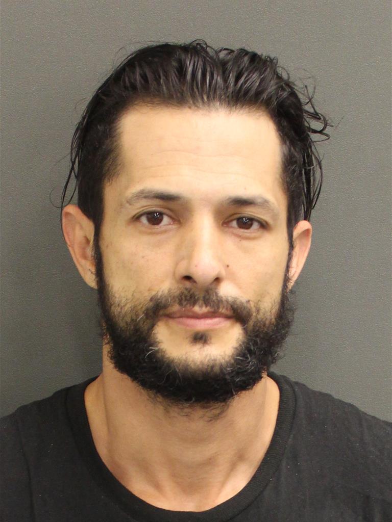  CARL ANTHONY ARCH NOLEN Mugshot / County Arrests / Orange County Arrests