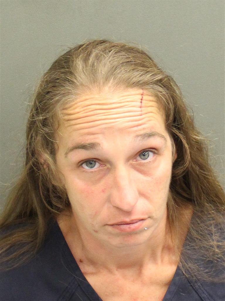  AMY SUMPTER Mugshot / County Arrests / Orange County Arrests