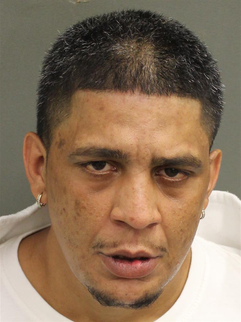  RAYMOND CESAR SALCEDO Mugshot / County Arrests / Orange County Arrests