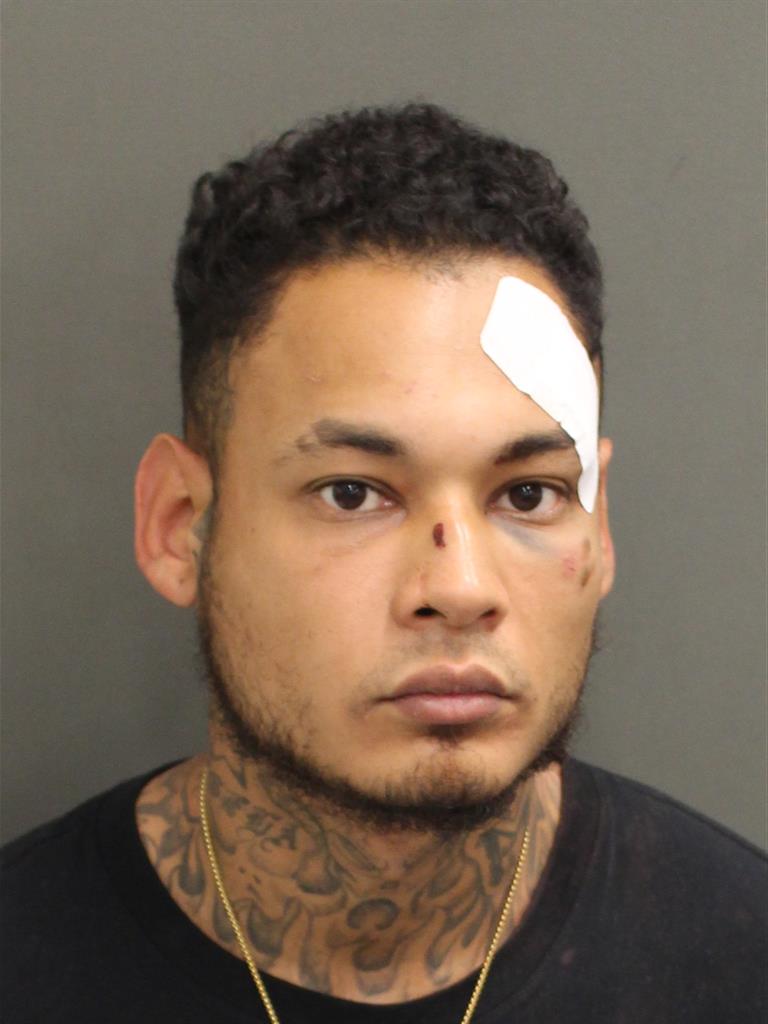  EMMANUELLE RICARDO GARCIA Mugshot / County Arrests / Orange County Arrests