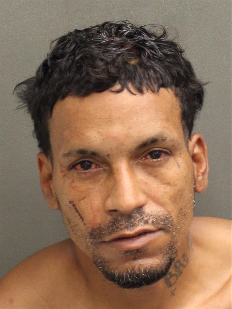  LUIS ANTONIO ORTIZSANTOS Mugshot / County Arrests / Orange County Arrests