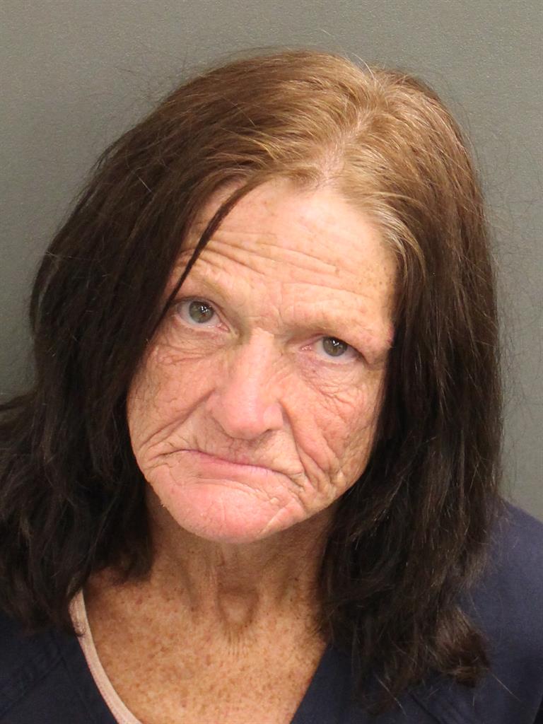  SHEILA SUMMERLIN Mugshot / County Arrests / Orange County Arrests