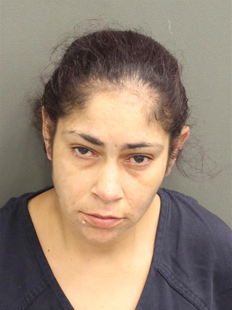  WENDY ENID FERNANDEZSANCHEZ Mugshot / County Arrests / Orange County Arrests