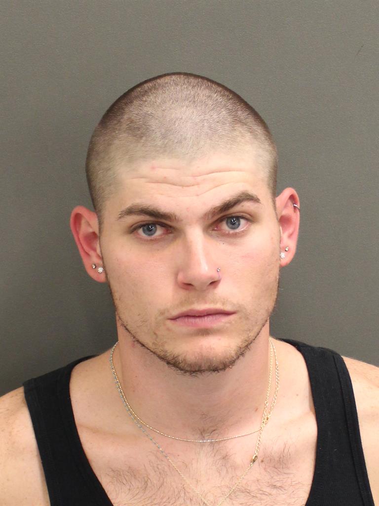  TRACE EDWARD FELLOWS Mugshot / County Arrests / Orange County Arrests