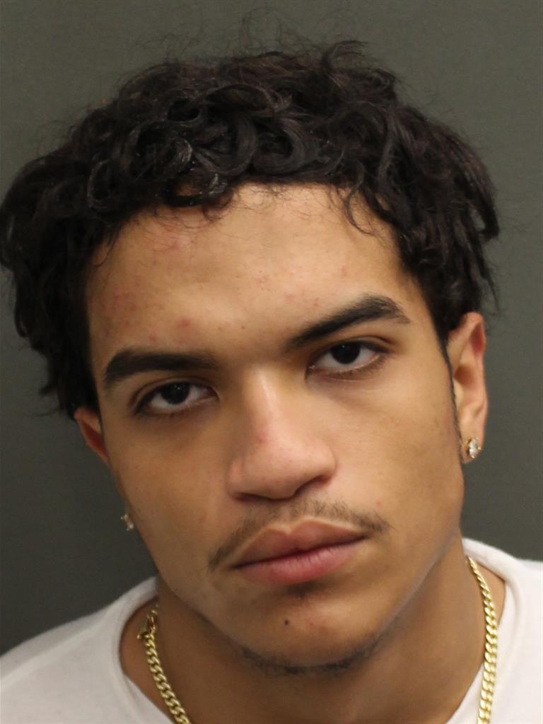 SEBASTIAN ORTOLAZA Mugshot SEBASTIAN ORTOLAZA Mugshot / County Arrests / Orange County Arrests