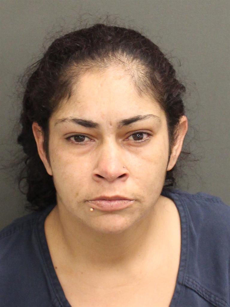  WENDY ENID FERNANDEZSANCHEZ Mugshot / County Arrests / Orange County Arrests